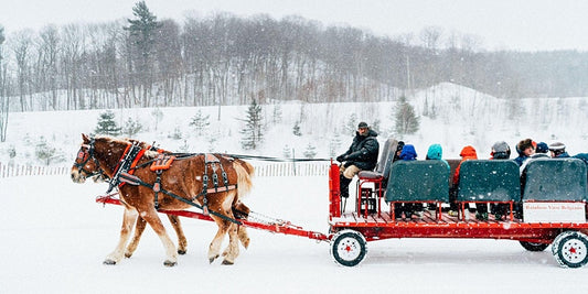 It's the 7th annual Winter Carnival!